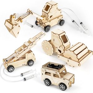 Educational Science Crafts Kits 3D Wooden Puzzles